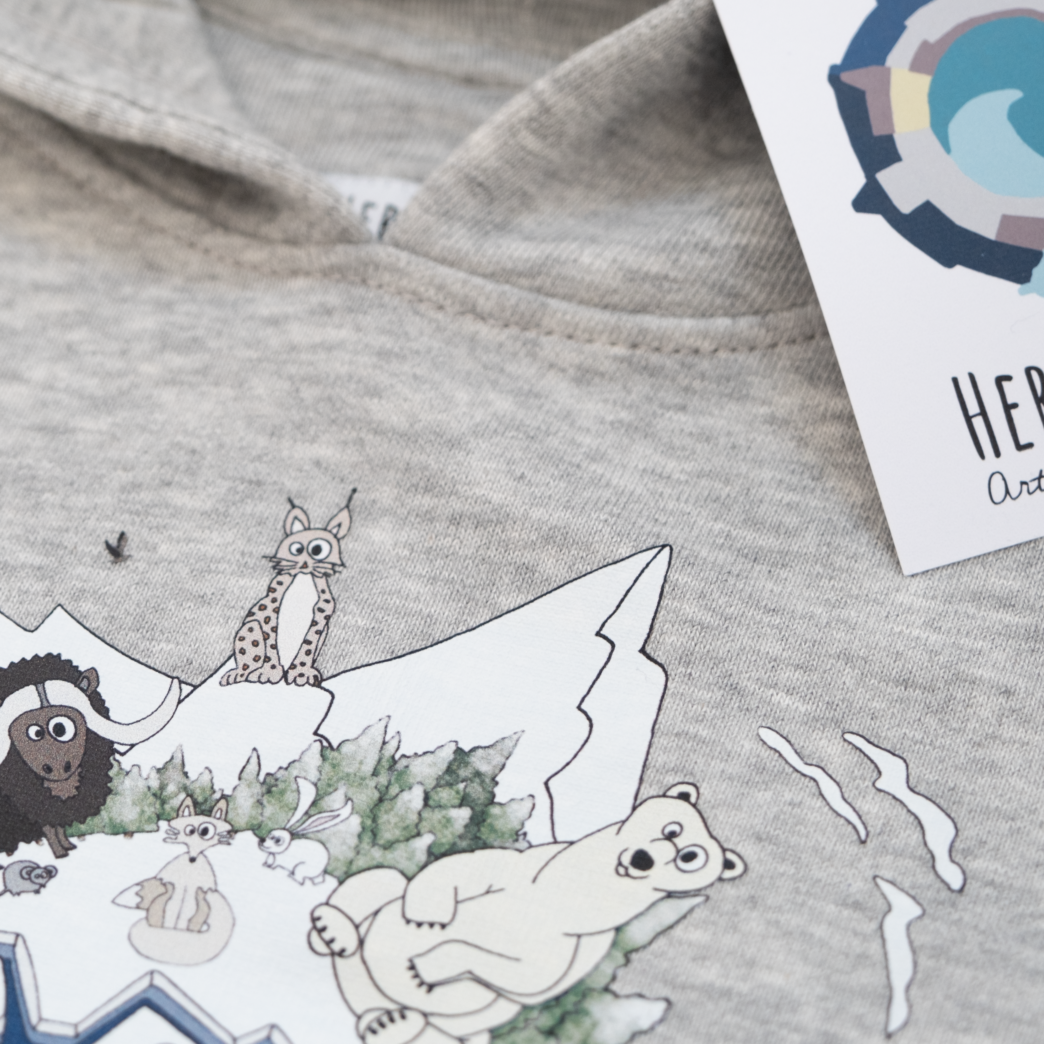 Sweat Gris – Pôle Nord (12–18 mois)