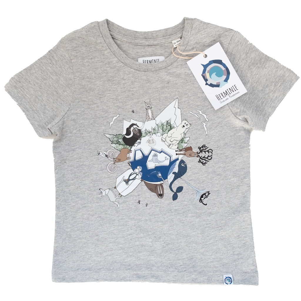 T-shirt Gris – Pôle Nord ( 24-36 mois )